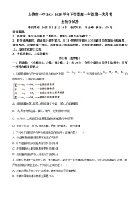 江西省上饶市信州区上饶市第一中学2024-2025学年高一下学期3月月考生物试题（原卷版+解析版）