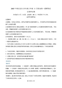 湖北省七市州2025届高三下学期3月联合统一调研测试生物试卷 Word版含解析