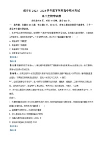 湖北省咸宁市2023-2024学年高二下学期期末考试生物试题 含解析