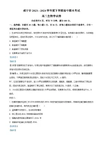 湖北省咸宁市2023-2024学年高二下学期期末考试生物试题 含解析