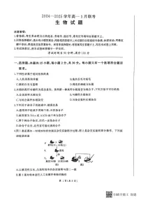 百师联盟2024-2025学年高一下学期3月联考生物试卷（PDF版附解析）