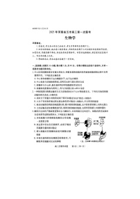 2024-2025学年下学期河南省五市高三3月第一次联考生物试卷含答案