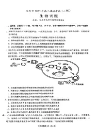 2025届安徽省安庆市高三二模考试 生物试题+答案解析