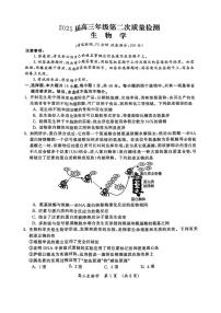 生物丨河南省三市2025届高三下学期3月第二次质量检测生物试卷及答案