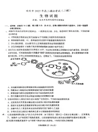 安徽省安庆市2025届高三高考模拟第二次模拟-生物试题无答案