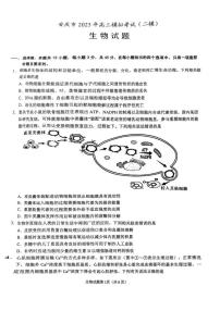 安徽省安庆市2025届高三高考第二次模拟生物学试题及答案