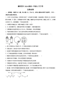 湖北省襄阳市第四中学2024—2025学年高一下学期2月考试生物学试题（含答案）