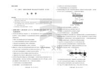 2024届安徽省高三上(联考Ⅰ)-生物试题（含答案）