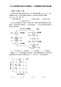 2025届河南省名校学术联盟高三下学期模拟冲刺生物试题