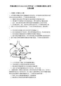 河南省商丘市2024-2025学年高二上学期期末商师大联考生物试题