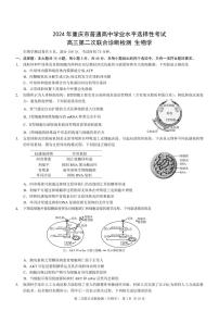 2024届重庆康德高三第二次联合诊断检-生物试卷（含答案）