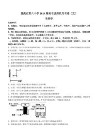 重庆市第八中学校2024届高三下适应性月考试卷(3月)-生物（含答案）