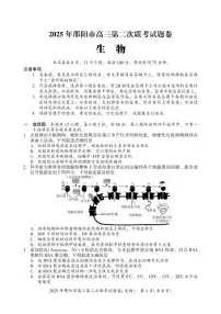 生物丨湖南省邵阳市2025届高三下学期3月第二次联考生物试卷及答案