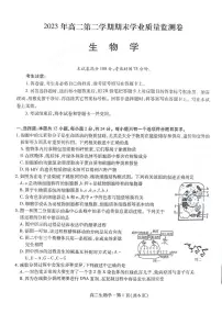 2024届甘肃高二下学期（期末考试）-生物试题（含答案）