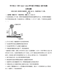 湖北省武汉市华中师范大学第一附属中学2023-2024学年高二下学期4月期中考试生物试题（Word版附解析）