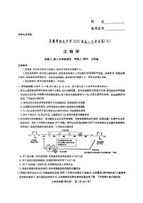 湖南省长沙市雅礼中学2024-2025学年高三下学期月考（七）生物试题（含答案）