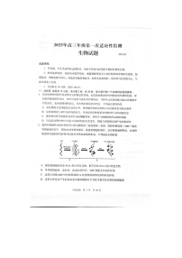 2024-2025学年下学期3月山东省青岛市高三年级第一次适应性检测生物试卷含答案