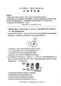 生物丨百师联盟2025届高三1月一轮复习联考（四）生物试卷及答案