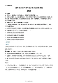 （九省联考）2024年1月高三年级普通高等学校招生考试适应性测试生物（贵州版）试卷（Word版附解析）