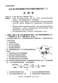 2024届广东省大湾区高三第二次模拟-生物试卷（含答案）