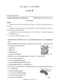 湖北省2025届高三下学期高考模拟 联合测评生物试题