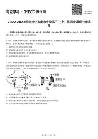 2022-2023学年河北省衡水中学高三（上）第四次调研生物试卷