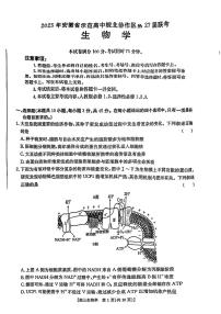 2025年安徽省示范高中皖北协作区第高三下学期高考模拟联考生物试题