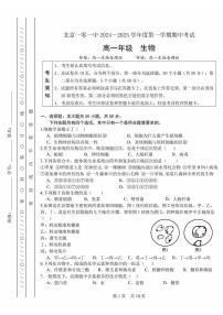 2024北京一零一中高一（上）期中真题生物试卷