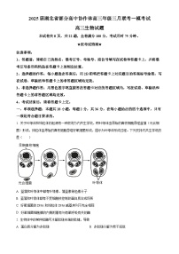 2025届湖北省部分高中协作体高三三月联考一模生物试题（原卷版+解析版）