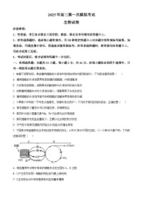 2025届河北省沧州市沧衡八县联考一模生物试题（原卷版+解析版）