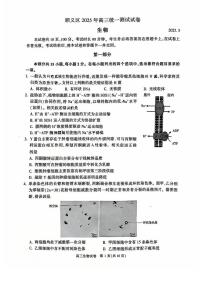 2025北京顺义高三一模生物试卷