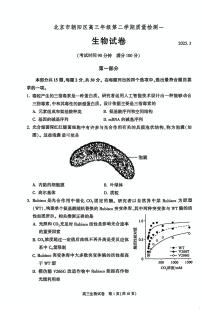 北京市朝阳区2025届高三年级第二学期高考一模生物试题