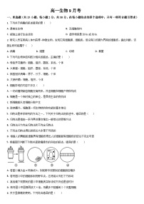 吉林省通化市梅河口市第五中学2024-2025学年高一上学期9月月考生物试题
