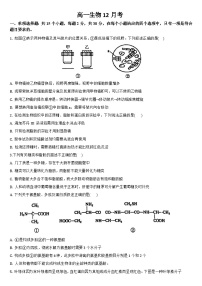吉林省通化市梅河口市第五中学2024-2025学年高一上学期12月月考生物试题