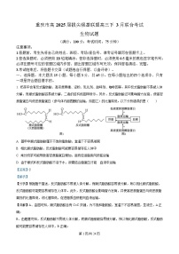 重庆市拔尖强基联盟2025届高三下学期3月联合考试生物试题 含解析