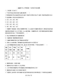 湖南省岳阳市岳阳县第一中学2024-2025学年高一下学期3月月考生物试题（Word版附解析）