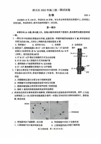 2025届北京市顺义区高三一模统一测试 生物试题及答案