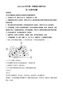 江苏省连云港市2024-2025学年高二上学期期末调研考试生物试题 Word版含解析