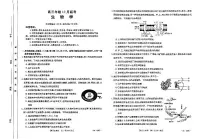 2024届河北省高三上学期(12月考)-生物试题（含答案）