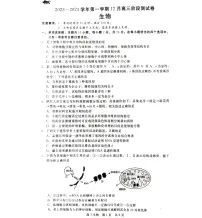 2024届河北省新时代高三上学期12月阶段测试-生物试题（含答案）