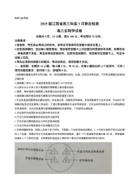 江西省上进联考2024-2025学年高三下学期3月联合检测生物试题（含答案）