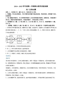 山东省聊城市2024-2025学年高二上学期1月期末生物试题 含解析