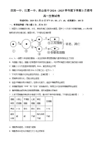 湖北省汉阳一中、江夏一中、洪山高中2024-2025学年高一下学期3月联考生物试卷（原卷版+解析版）