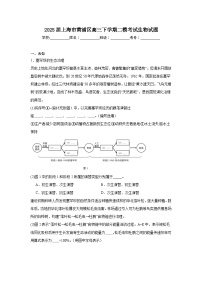 2025届上海市黄浦区高三下学期二模考试生物试题（无答案）