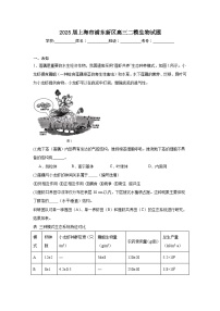 2025届上海市浦东新区高三二模生物试题（无答案）