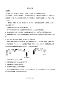 黑龙江省齐齐哈尔市2025届高三下学期一模生物试题（Word版附解析）