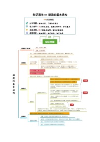 知识清单03+细胞的基本结构（4大考点+8个易错点）-2025年高考生物一轮复习知识清单