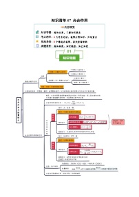 知识清单07+光合作用（4大考点+6个易错点）-2025年高考生物一轮复习知识清单