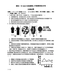 2024届河南省南阳市第一中学校高三上学期第四次月考-生物试题（含答案）