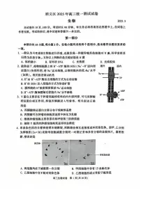 2025北京顺义高三一模生物试卷